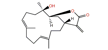 Lobocrassin B